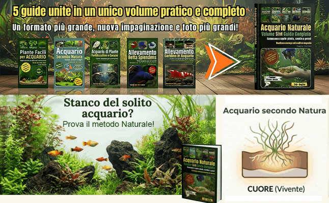 Acquario Naturale Volume 5in1
