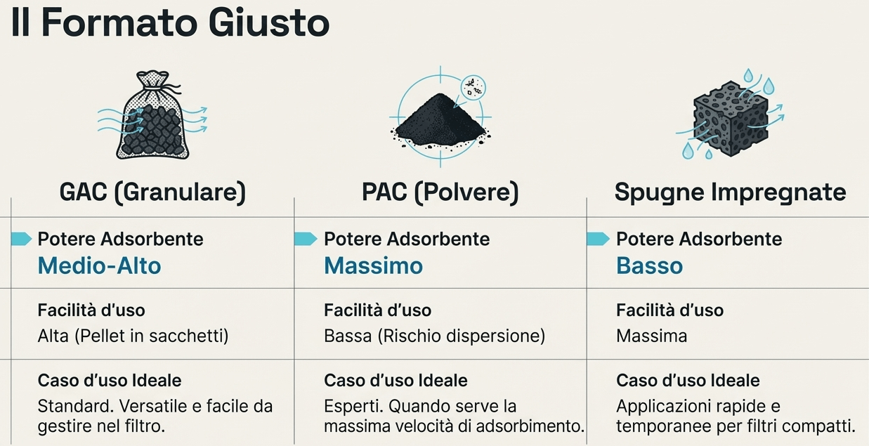 carbone polvere, granulare, spugne