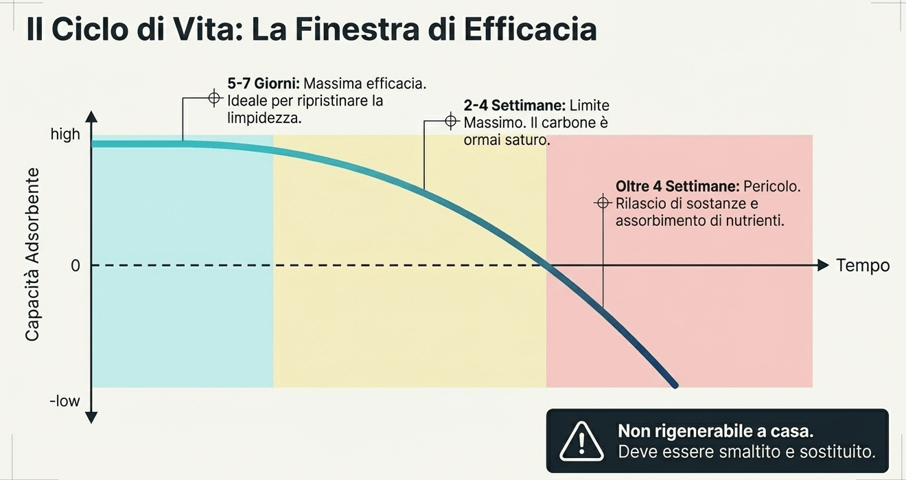 quanto dura il carbone
