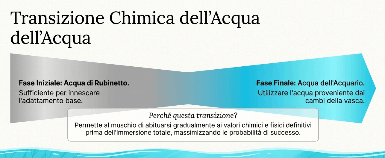 adattamento muschio acqua