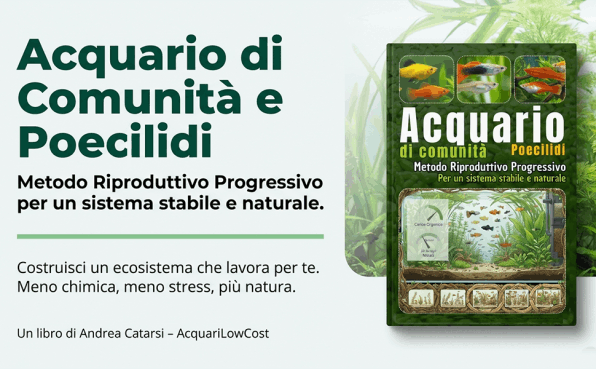 Acquario comunità poecilidi
