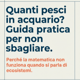 Quanti pesci inserire in acquario?