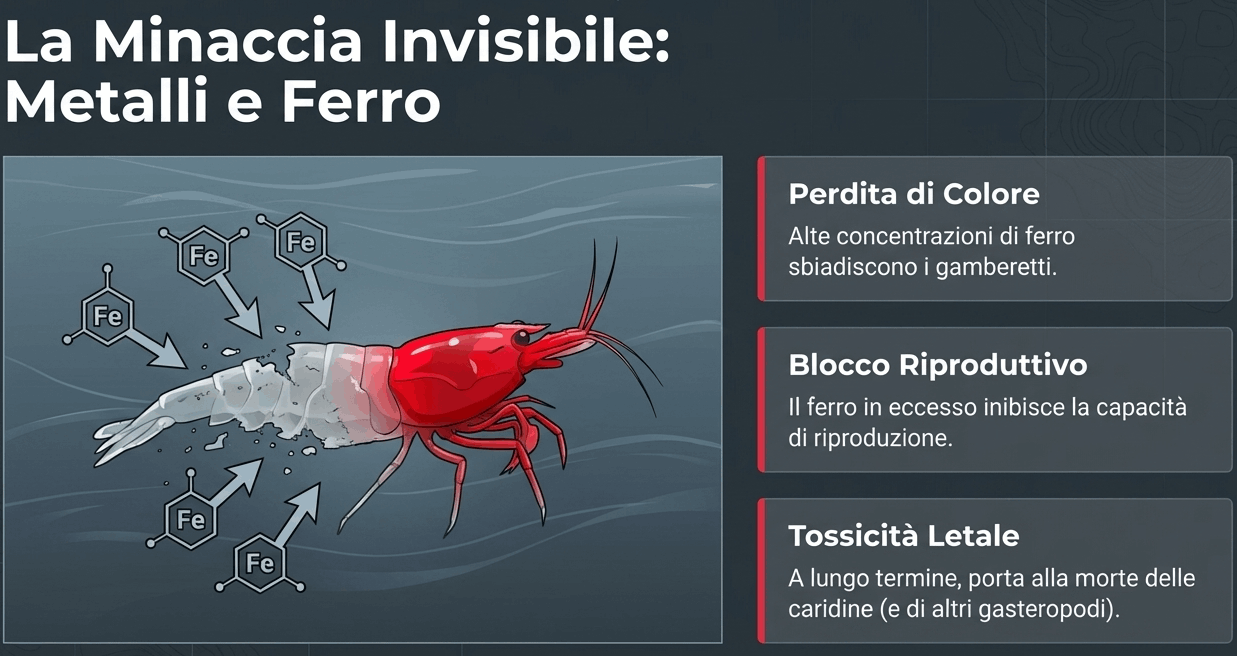 metalli e ferro caridine