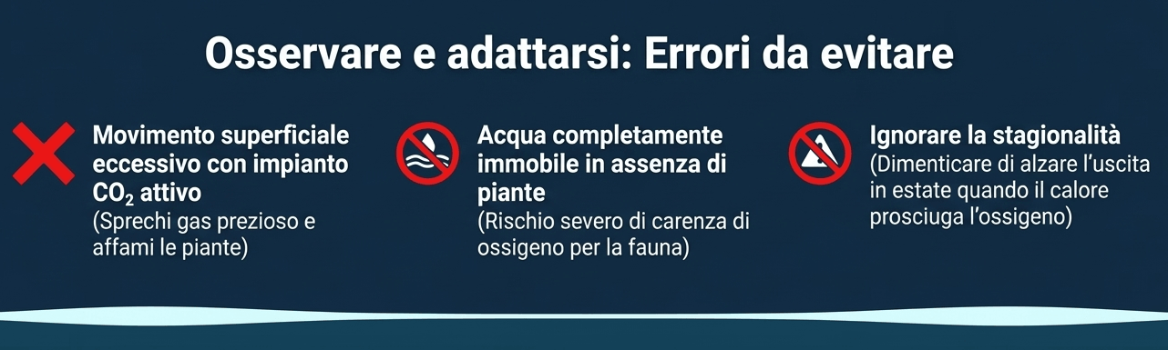 errori comuni principianti